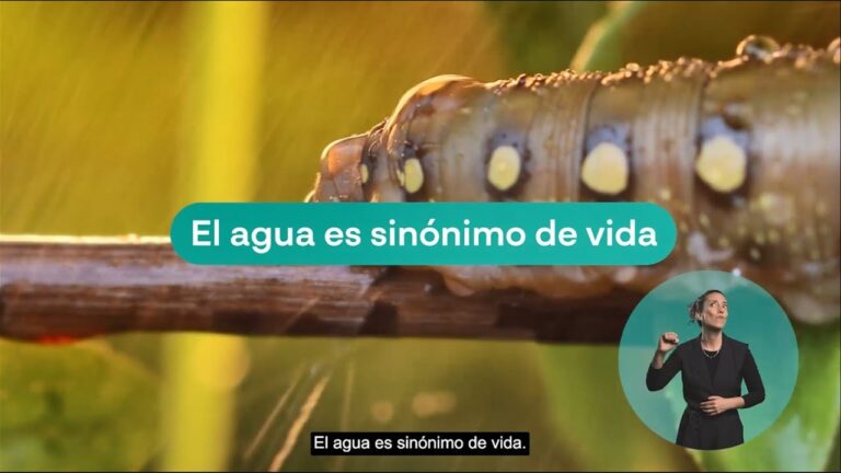Sinónimos de Robótica: Un Glosario Esencial