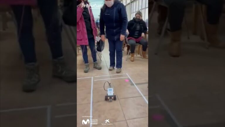 Innovación en la Enseñanza: El Papel de los Profesores de Robótica