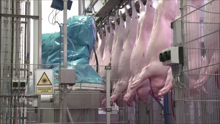 Revolución de la Aira Robótica en la Industria