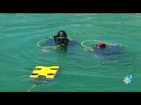 Innovaciones en Robótica Submarina