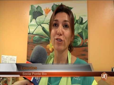 Revolución de la Robótica en Ponteareas