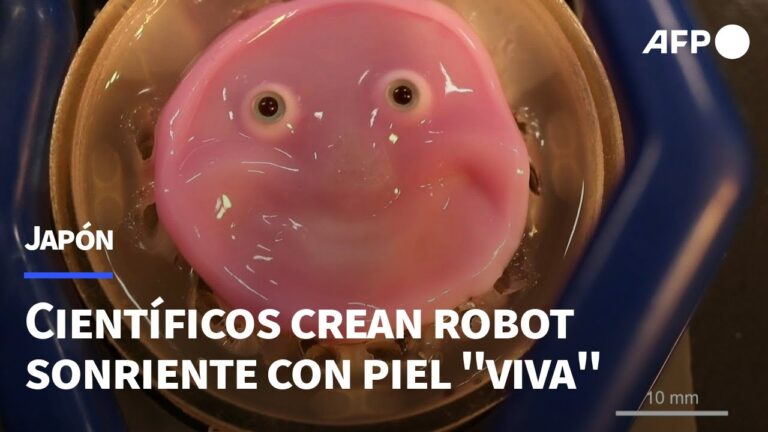 Revoluci&oacute;n de la Piel Rob&oacute;tica: Innovaciones y Aplicaciones