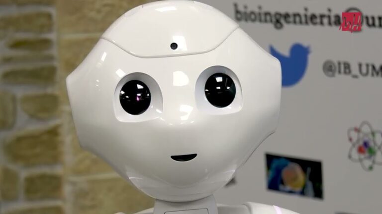 Autismo y Rob&oacute;tica: Innovaciones en Apoyo y Aprendizaje